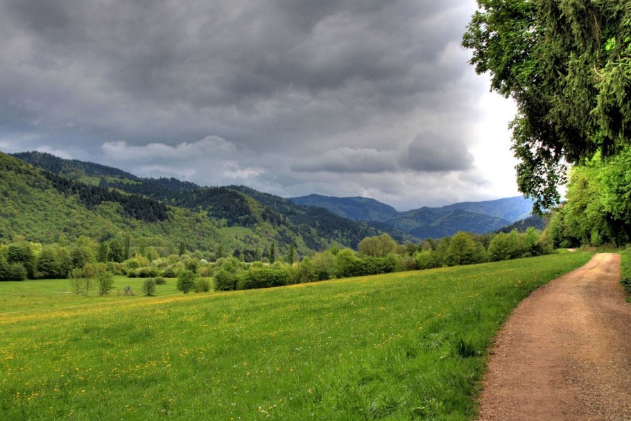 Шварцвальд и Тюрингский лес