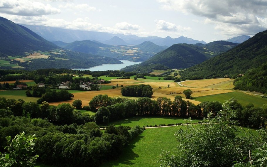 Лесные ресурсы Франции