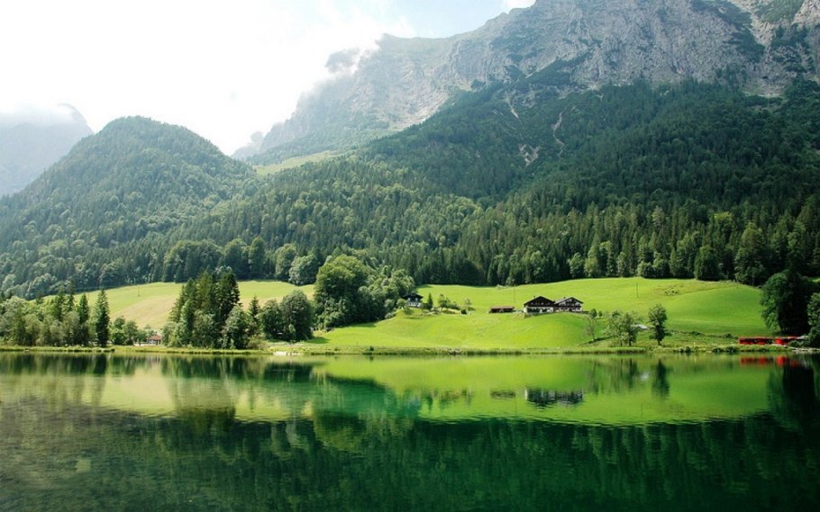 Флора Германии