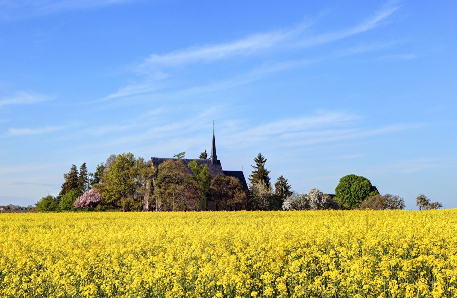 Рапс в Германии