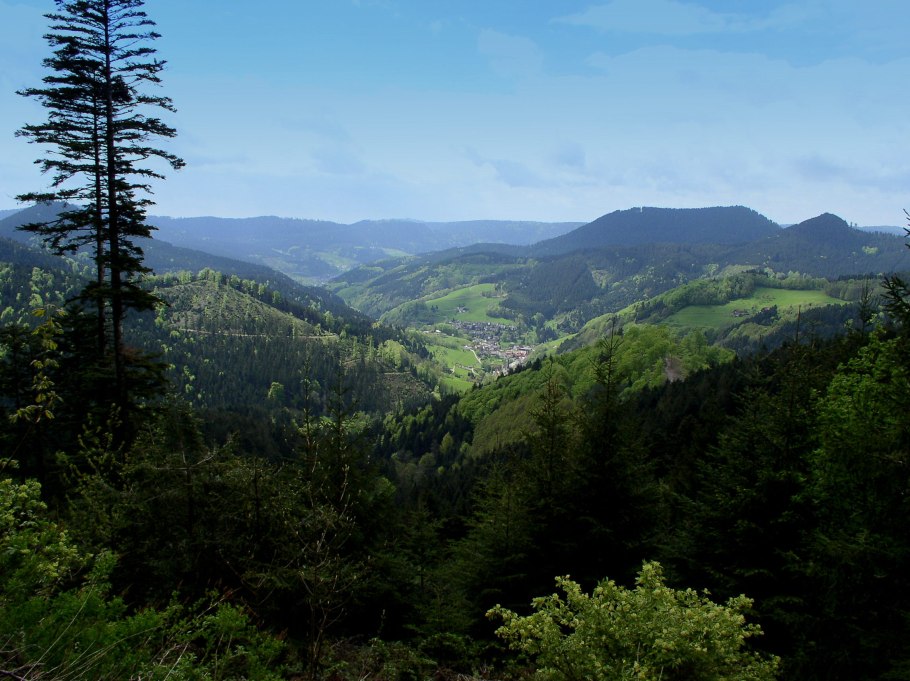 Шварцвальд черный лес Германия