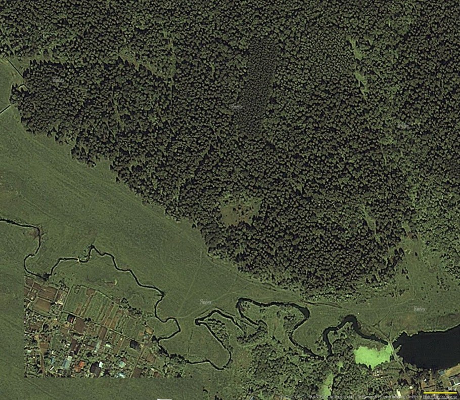 Аэрофотоснимки лесов