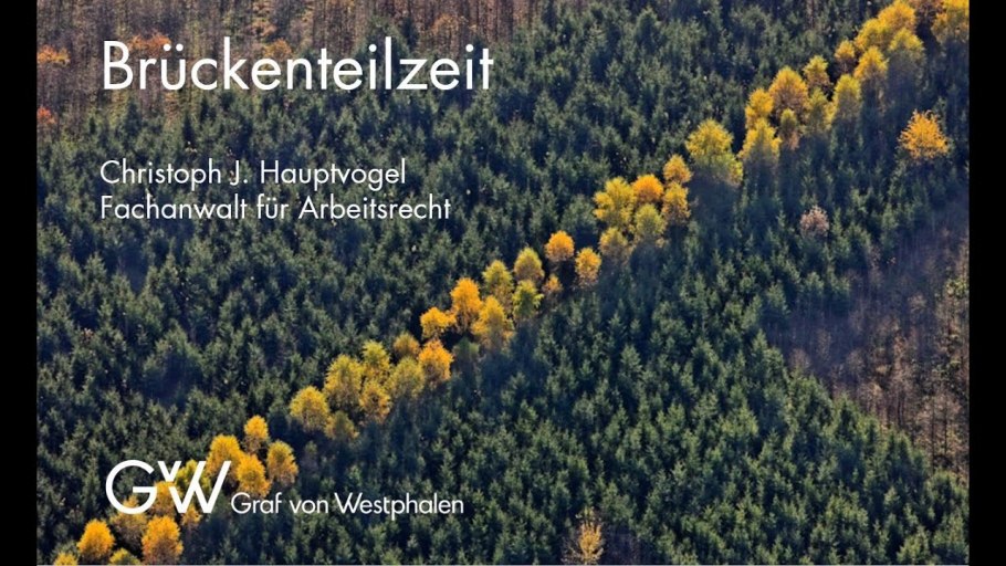 Аэрофотосъемка лесов