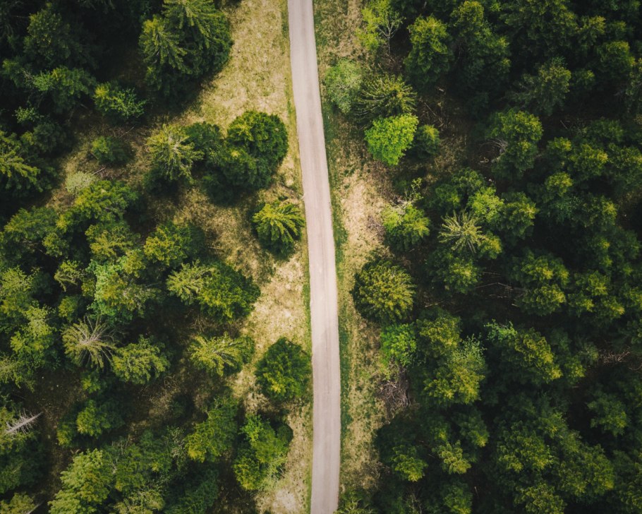 Лес с высоты птичьего полета