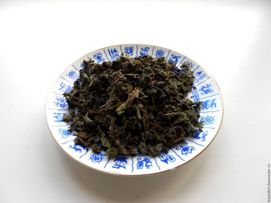 Отвар медуницы