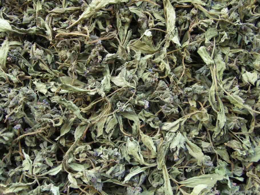 Беловодье Медуница трава (50г)