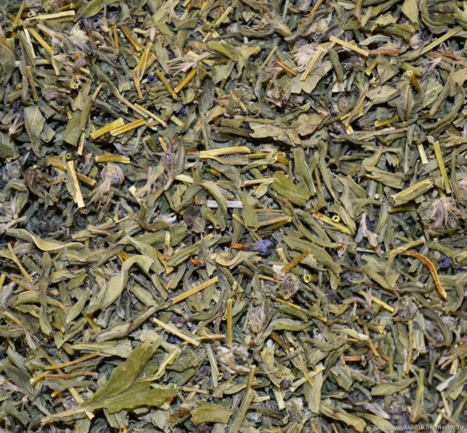 Медуница лекарственная лекарственное сырье