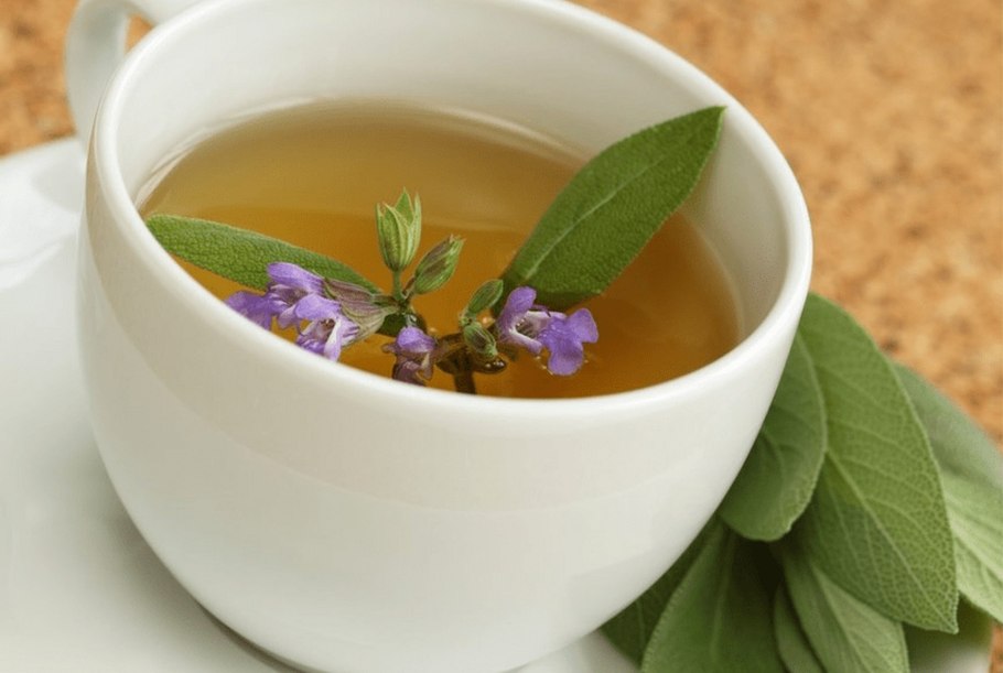 Медуница мягчайшая