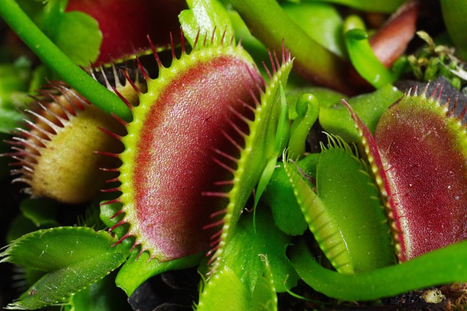 Получение энергии