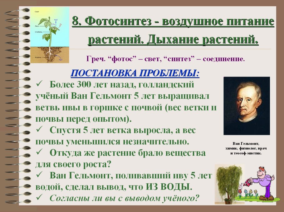 Сообщение о растениях хищниках 6 класс биология
