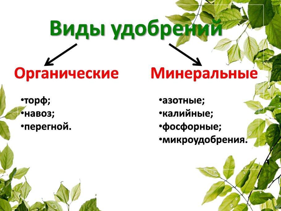 Биологический круговорот веществ в природе