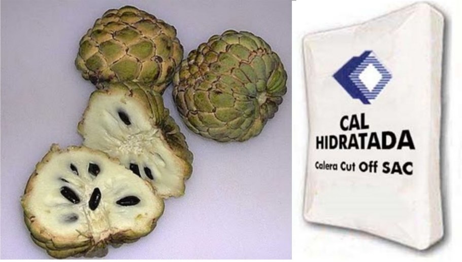 Сахарное яблоко Тайланд