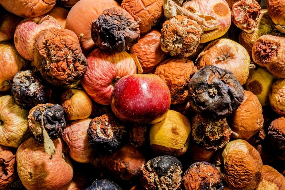 Тухлые овощи и фрукты