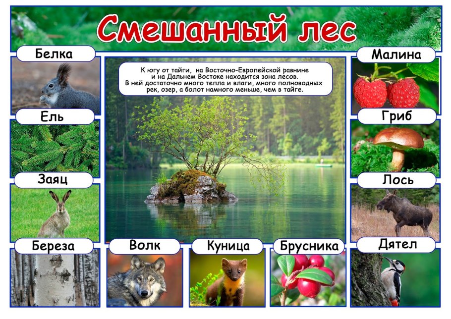 Климатические зоны России для дошкольников