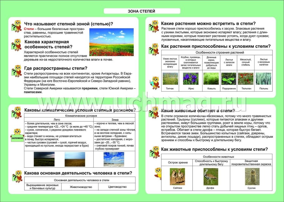 Зона степей таблица 4 класс
