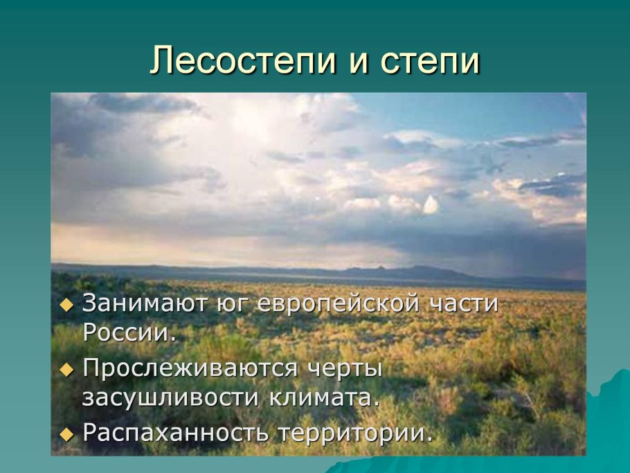 Климат и расположение степей