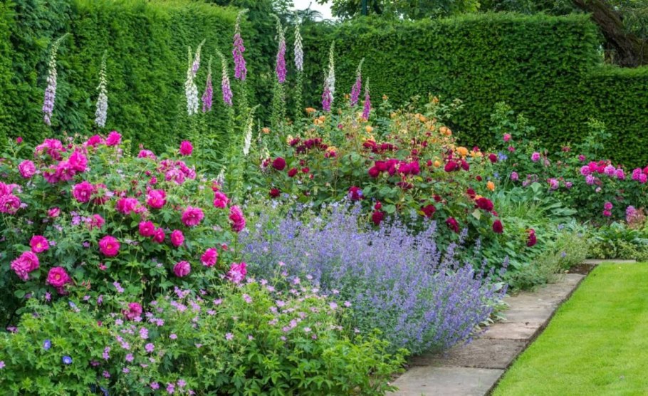 Миксбордер Гертруды Джекилл