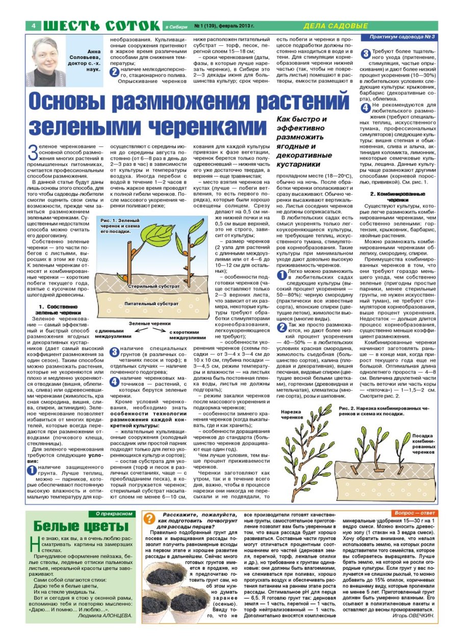 Подготовка растений к пересадке