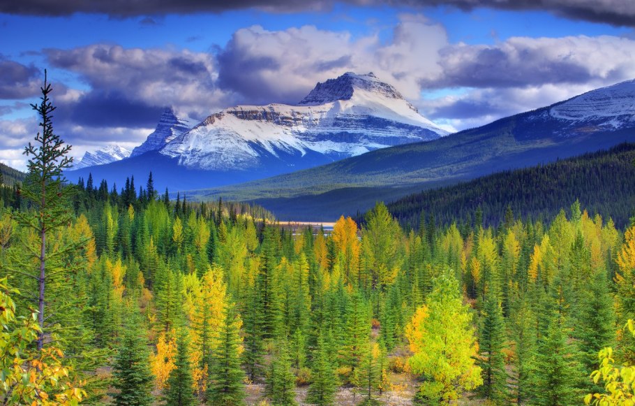 Хвойно широколиственные леса Южного Урала