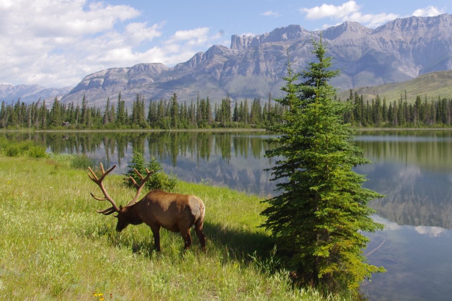 Национальный парк джаспер канада