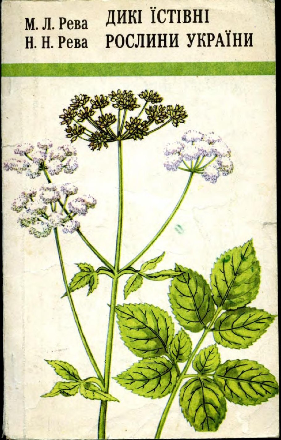 Съедобные травы