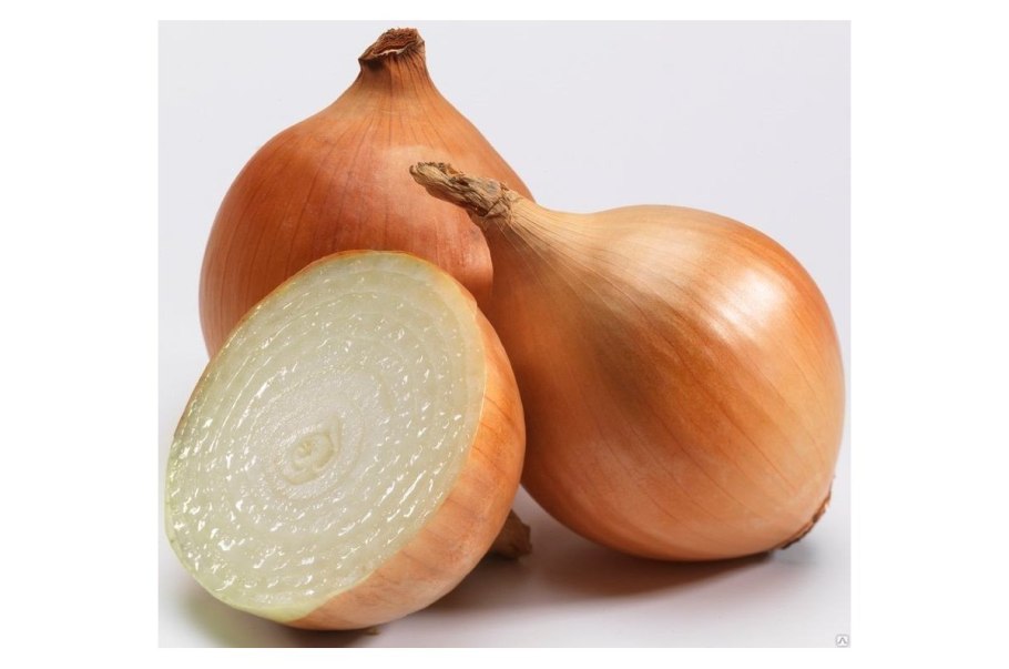 Лук-севок Трой f1