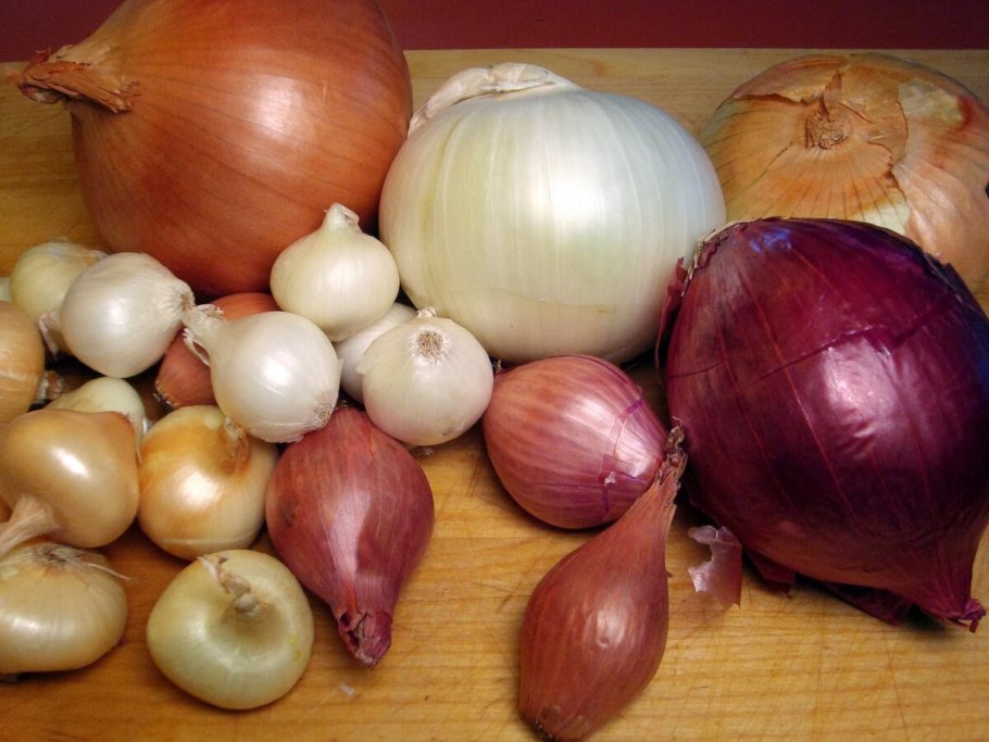 Сорта лука