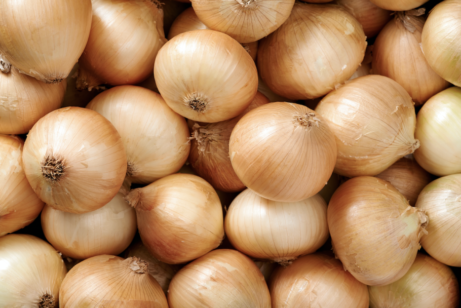 Лук репчатый сорт Каратальский