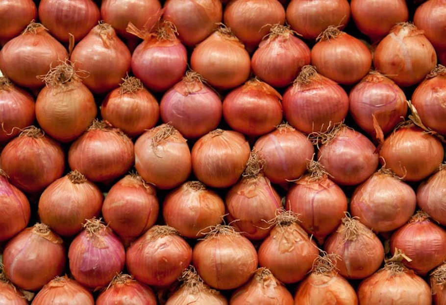 Лук репчатый севок