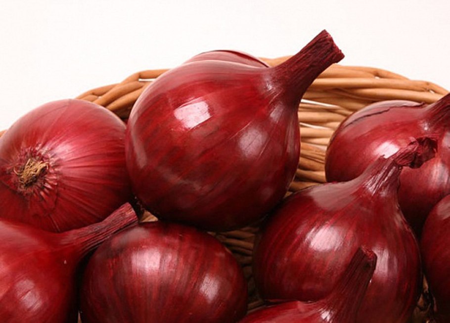 Лук-севок f1 Коррадо