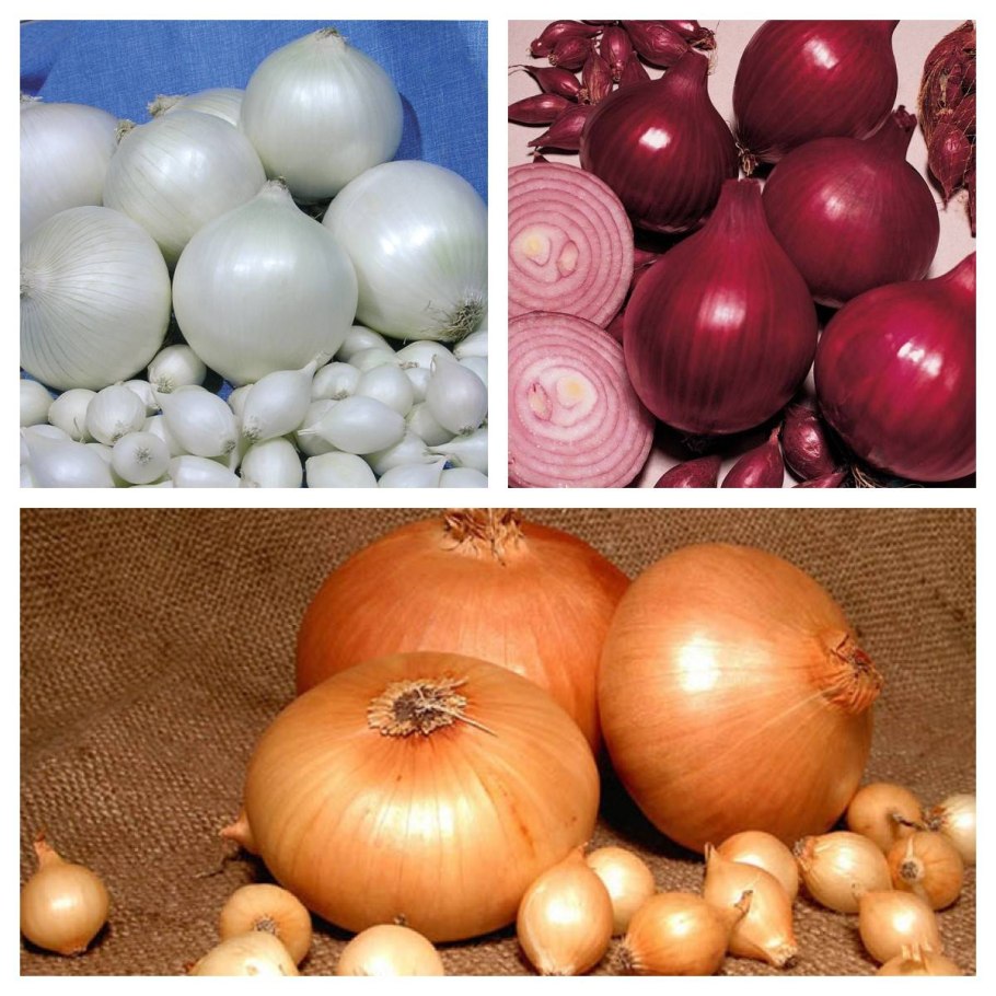 Лук-севок Розанна (розовый)