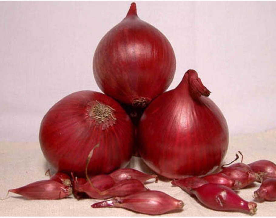 Лук-севок ред Барон