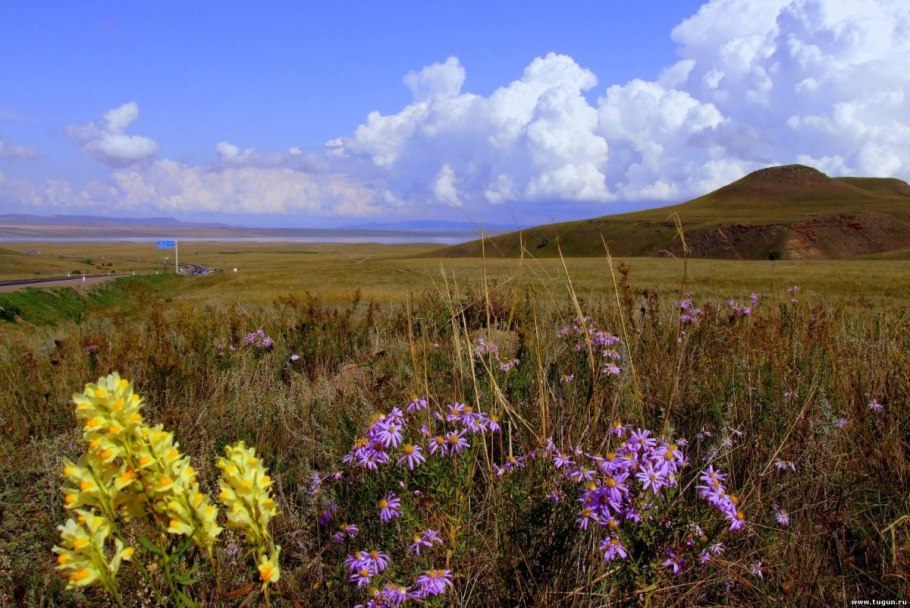 Степное Ставрополье