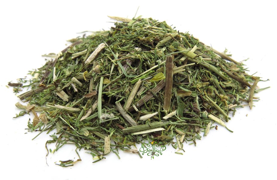 Горицвет Туркестанский