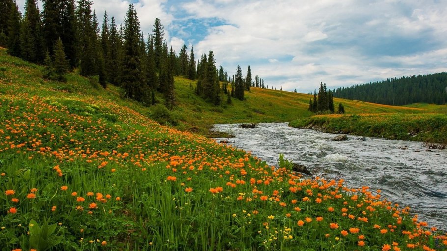 Лесотундра Восточная Сибирь