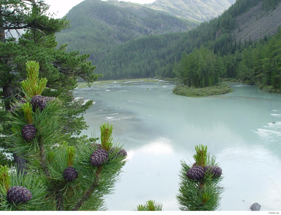 Северная Тайга Восточной Сибири