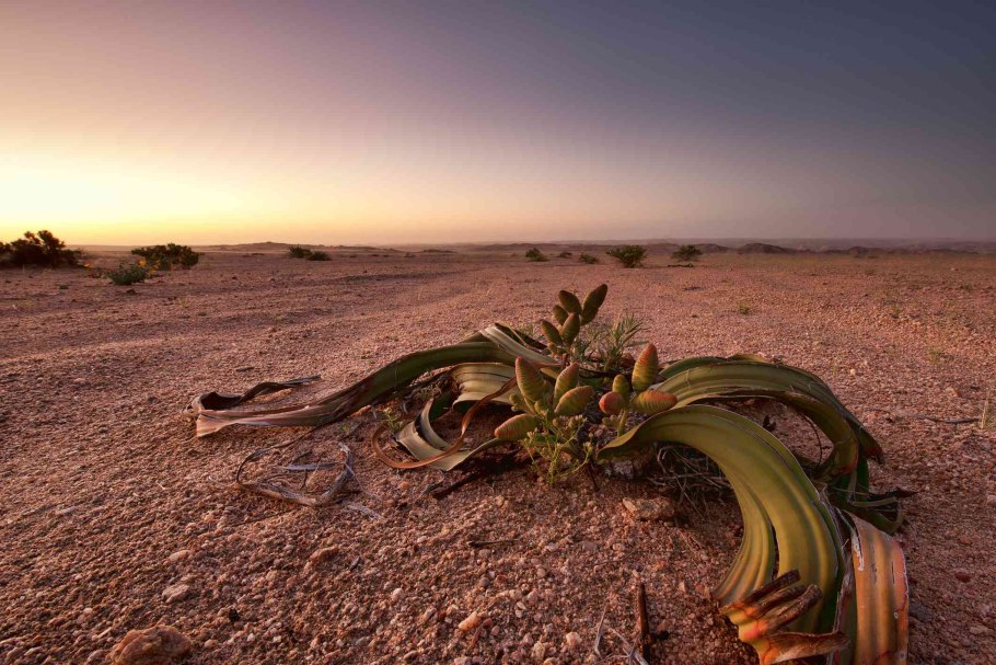 Национальный парк Кабо де гата