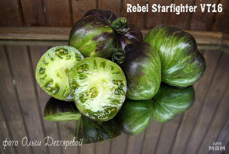 Зеленая богиня Ксанаду томат Экотомато