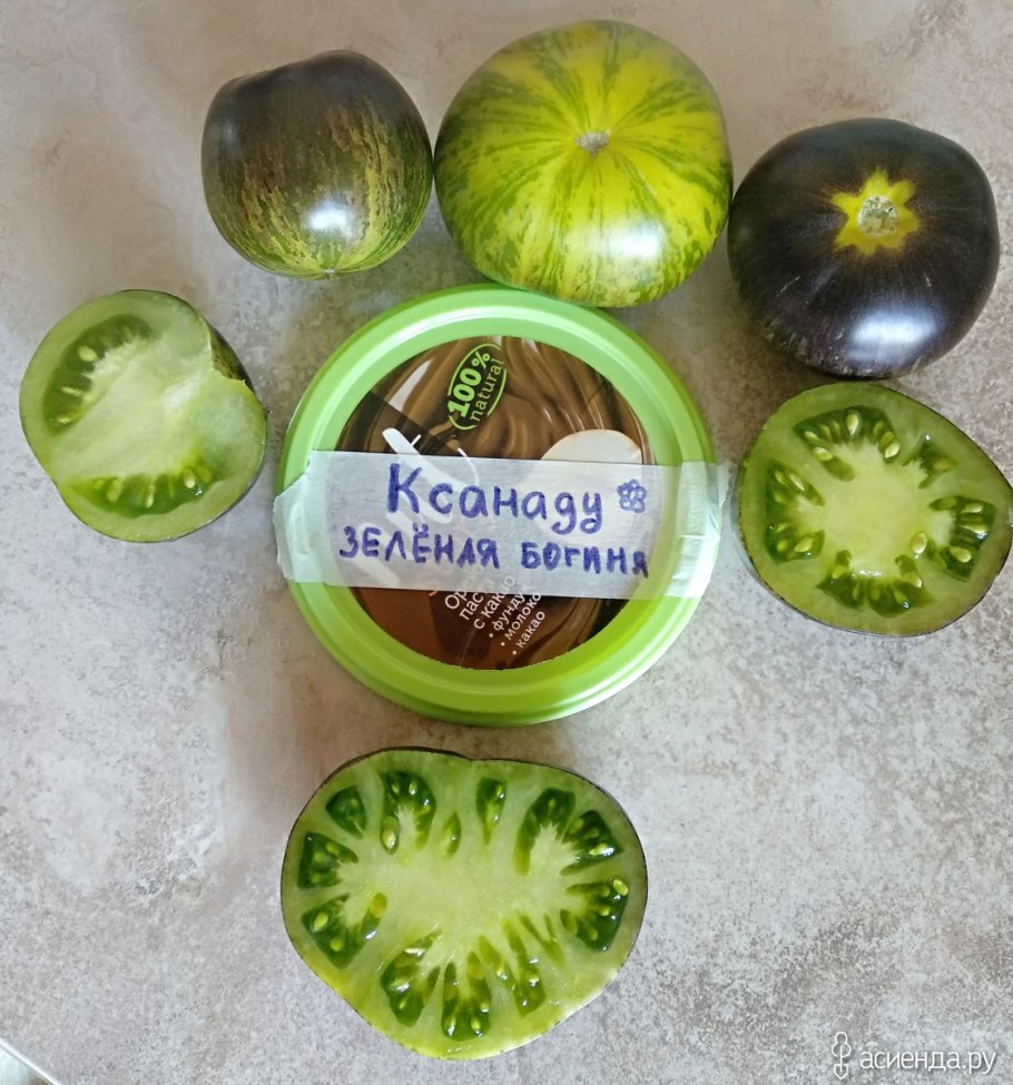 Сорт помидор зеленая Зебра