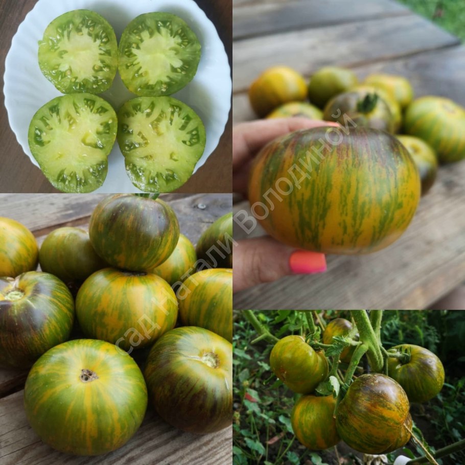 Помидоры черный тюльпан