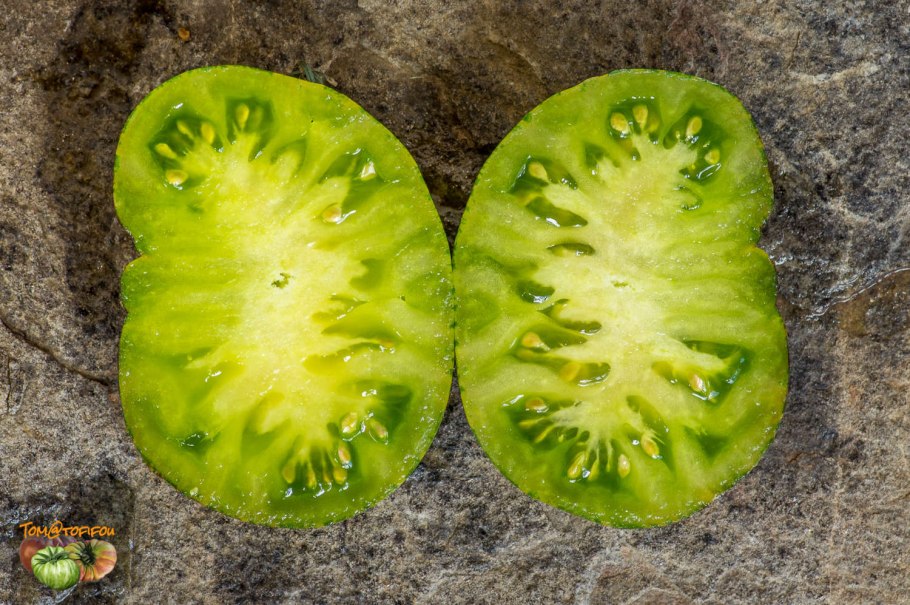 Богиня Ксанаду томат