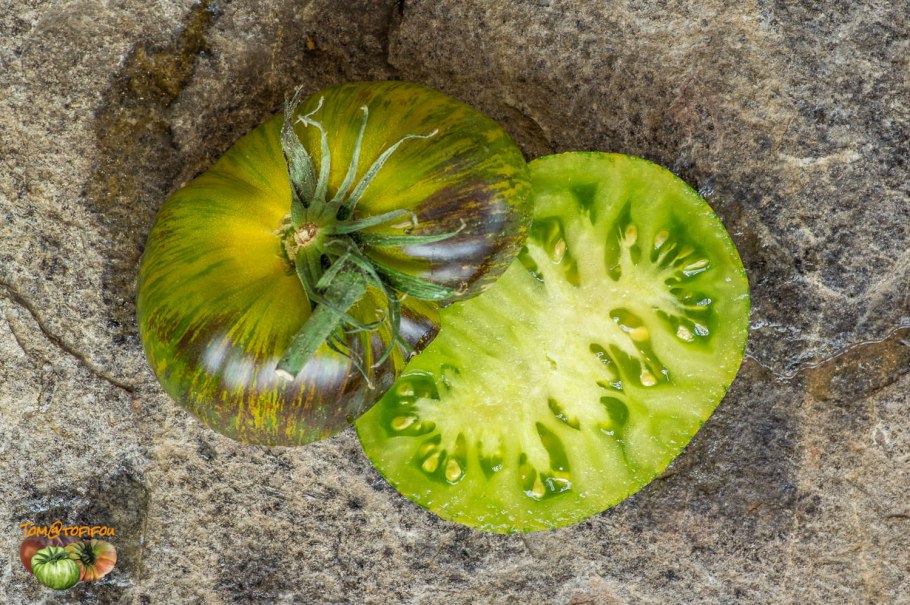 Помидор Ксанаду зеленая богиня