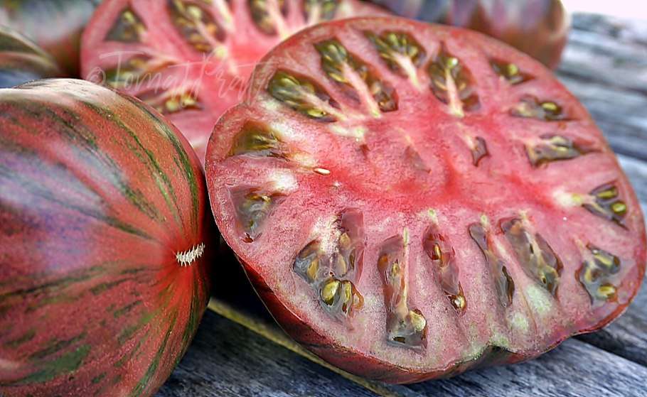 Помидор Ксанаду зеленая богиня