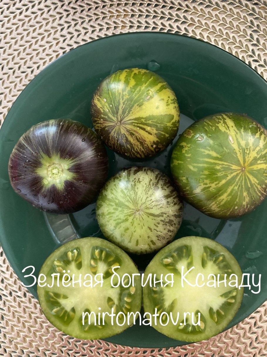 Неспелый огурец