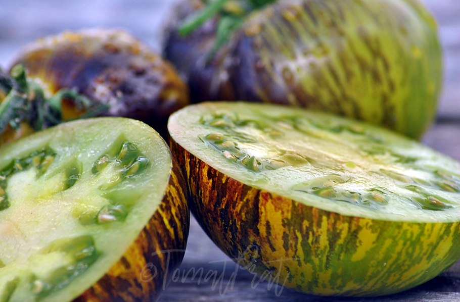 Томат зеленая богиня Занаду