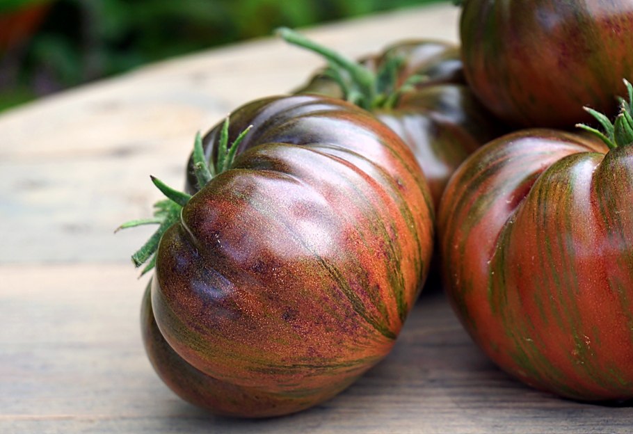 Томат Ксанаду