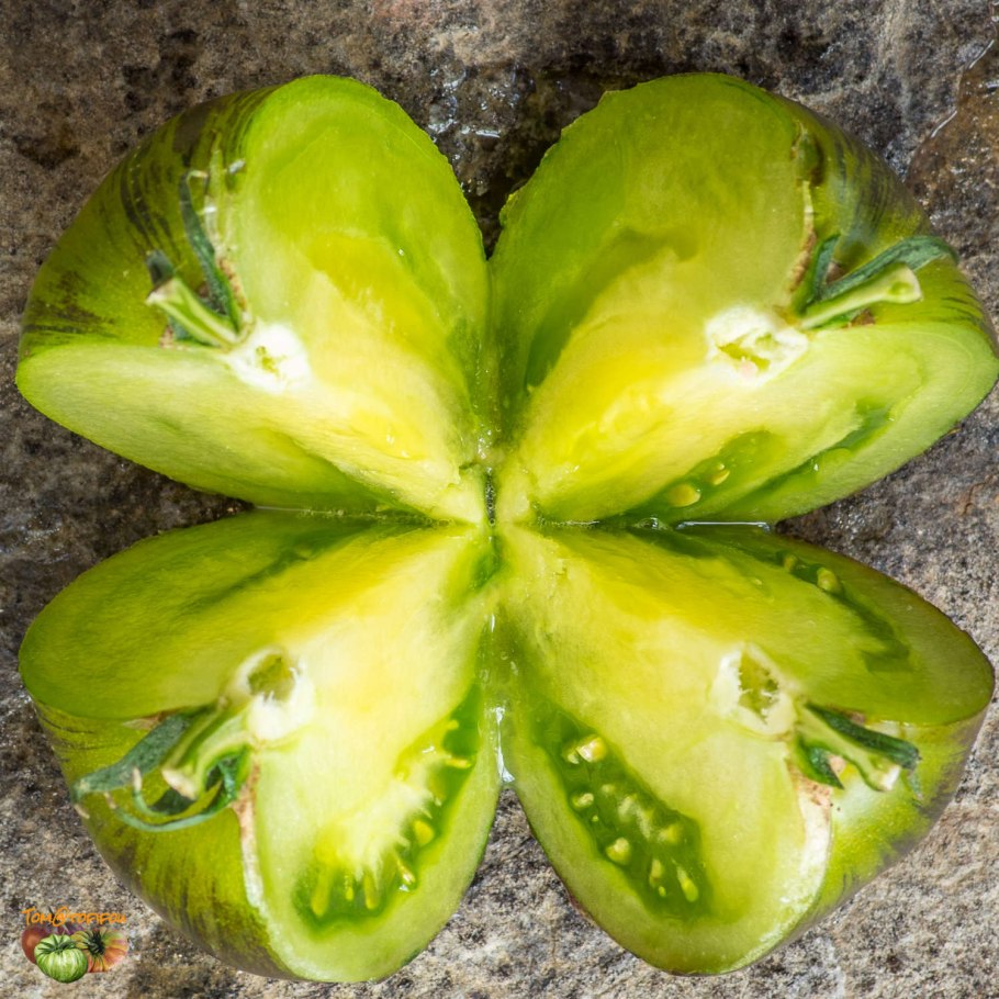 Богиня Ксанаду томат