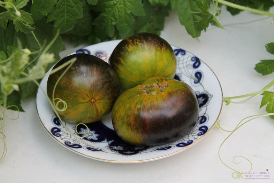 Томат Нибелунг