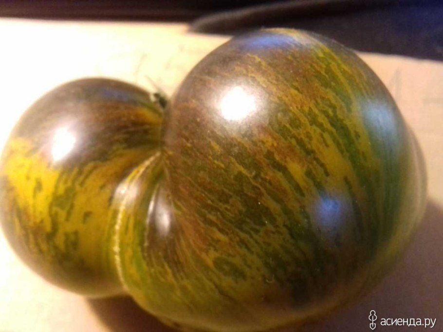 Томат Dwarf Mahogany