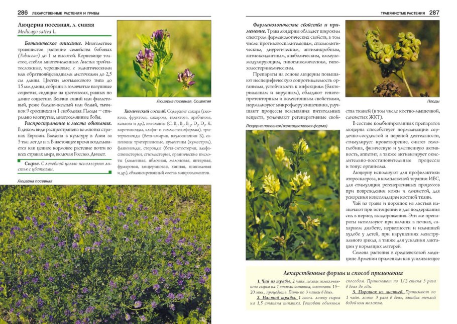 Кумарины Фармакогнозия